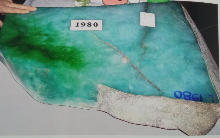 图2 翡翠的地子有明显玉纹,因而种老