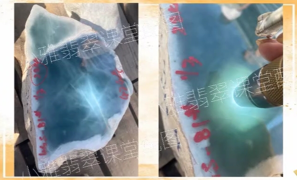 图9 切开后,种老