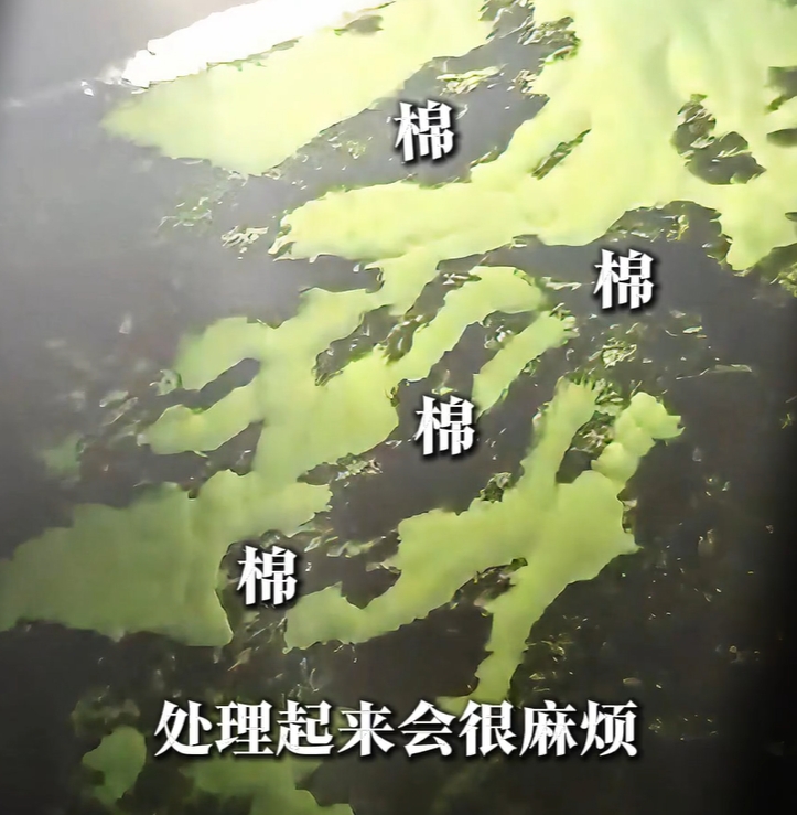 图8 留皮位置非脱沙,可能有棉,不冒险去处理