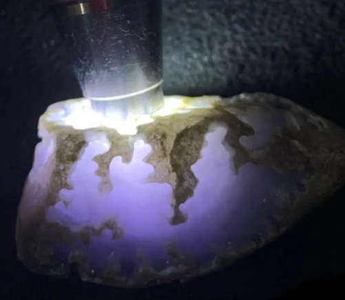 翡翠紫罗兰