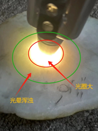图1 光圈大，光晕浑浊，透明度差，种嫩的豆种