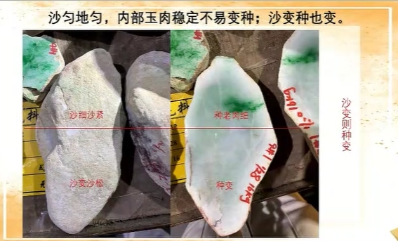 图13 皮壳上面砂细,下面砂粗,砂粗细不一样,解开后下面玉肉变种