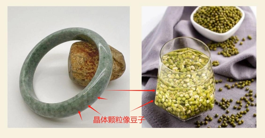 图7 豆种,像豆子