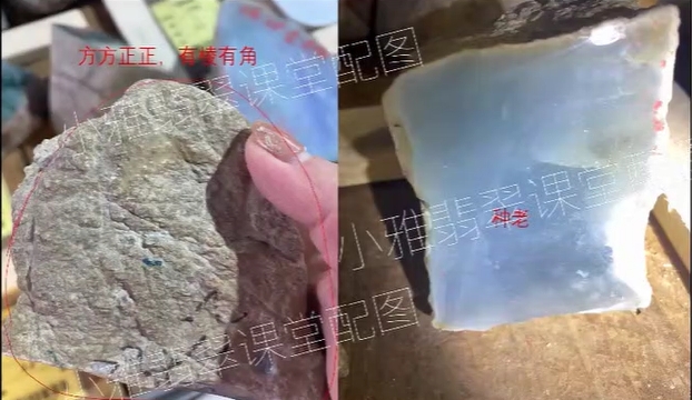 图2 方方正正,种老