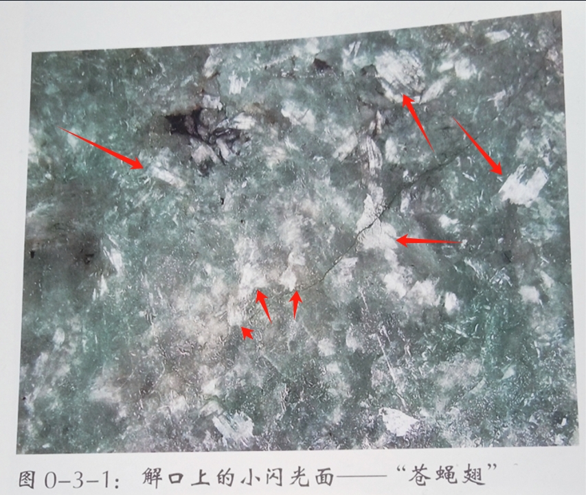 解口（切口）上的苍蝇翅