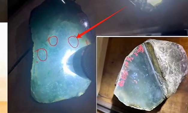 图4 玉肉多点状棉