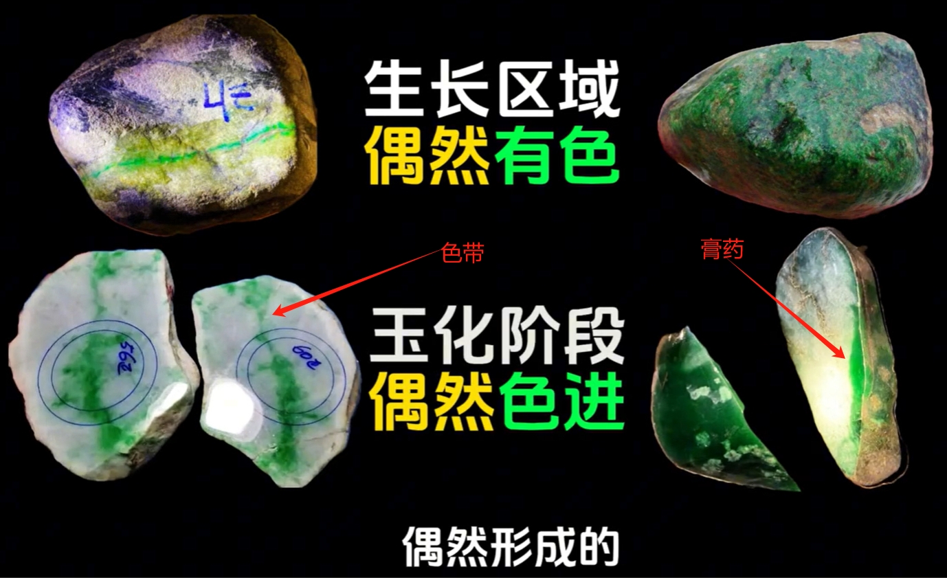 图2 色带、膏药色精