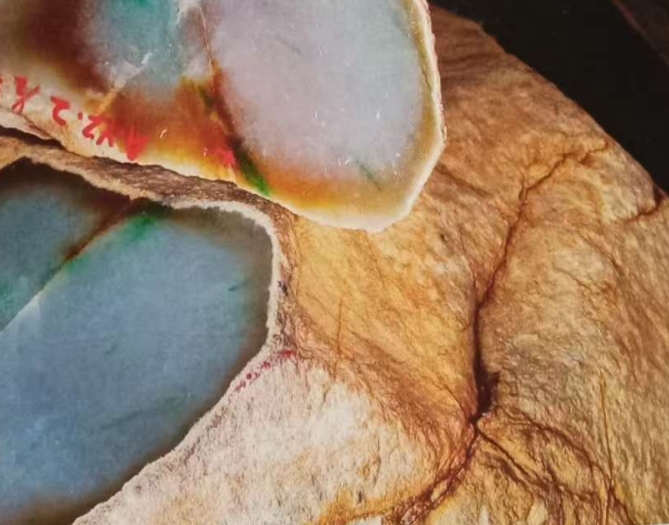 图2 粗糠皮壳。看似糠粗,但砂发硬,结得很紧,手摸上去会刺手,因而种老糥化底。