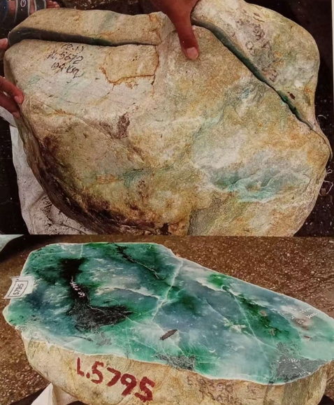 图7 细白盐砂皮壳