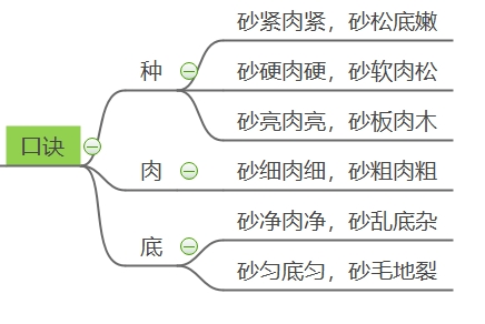 图1 相玉口诀,相的是翡翠种、肉和底子