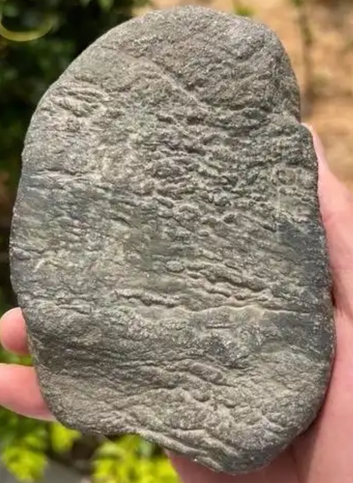 图6 大象皮壳