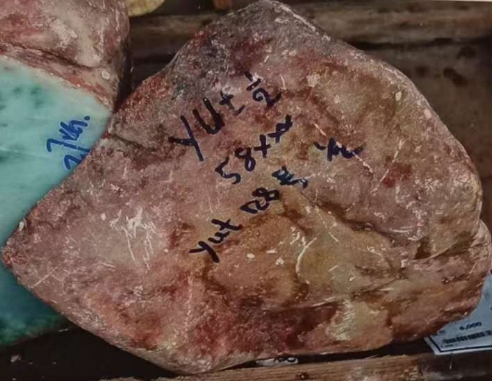 图19 红色蜡皮壳,无雾。肉质虽细腻,但种质一般。