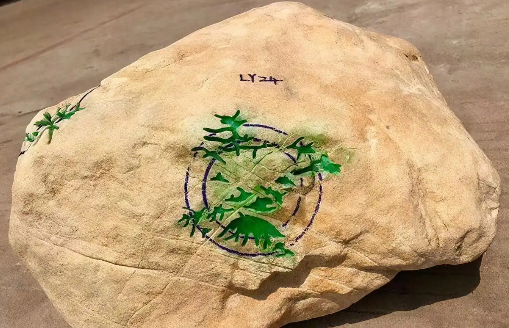 黄沙皮