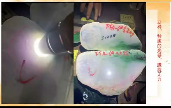 图3 豆种，嫩空种，种嫩，光感朦胧