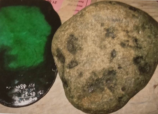 图7 黄乌砂发亮上的满身莽，莽丝呈小草丛状、味粉丝状或小的老鼠脚迹。