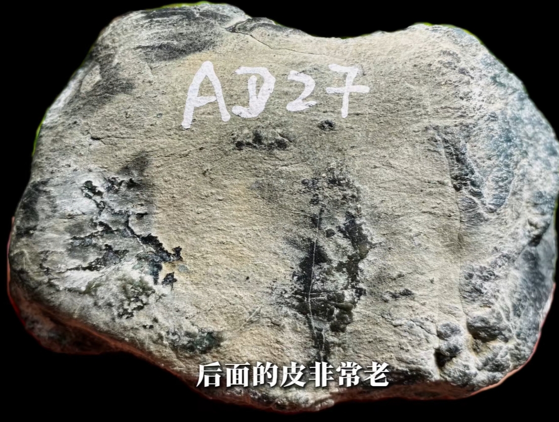 图5 原石后面种老肉细