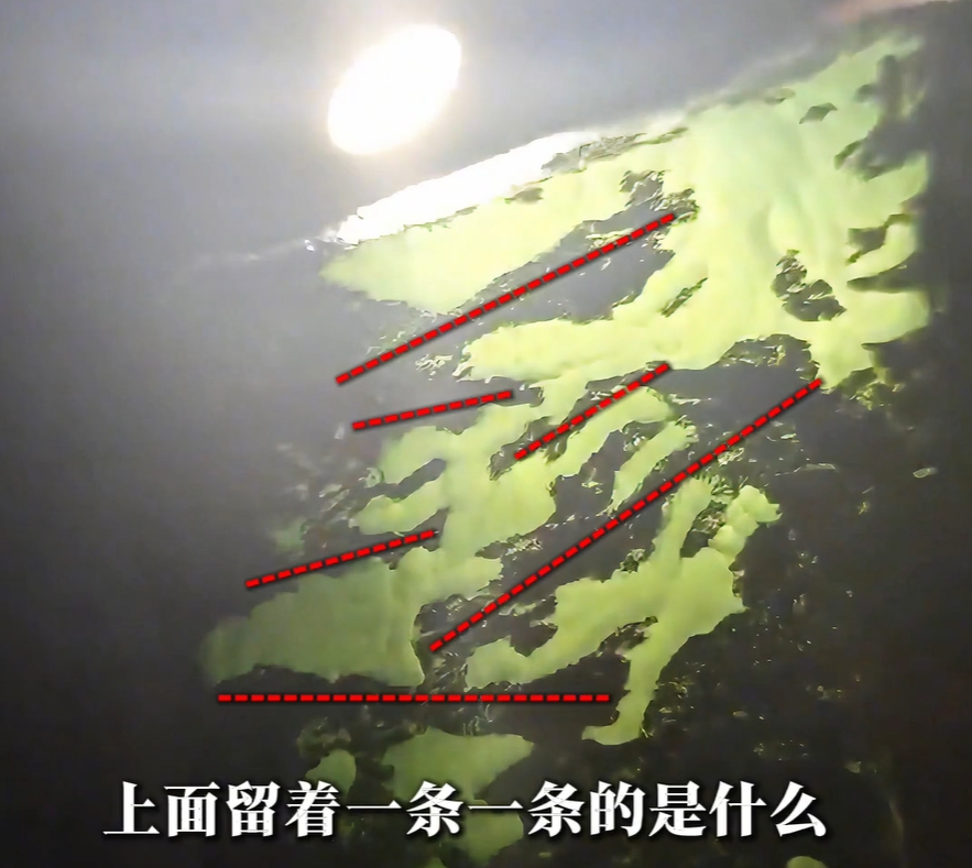 图7 扩大窗口后很理想