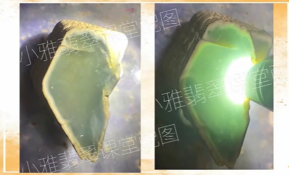 图8 切开后,种老
