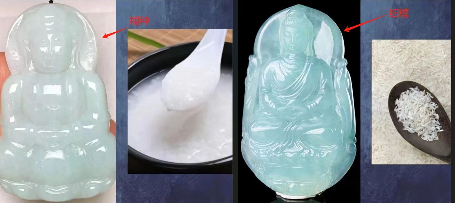 图15 糥种与细糥种对比