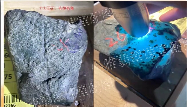 棱角分明,种老
