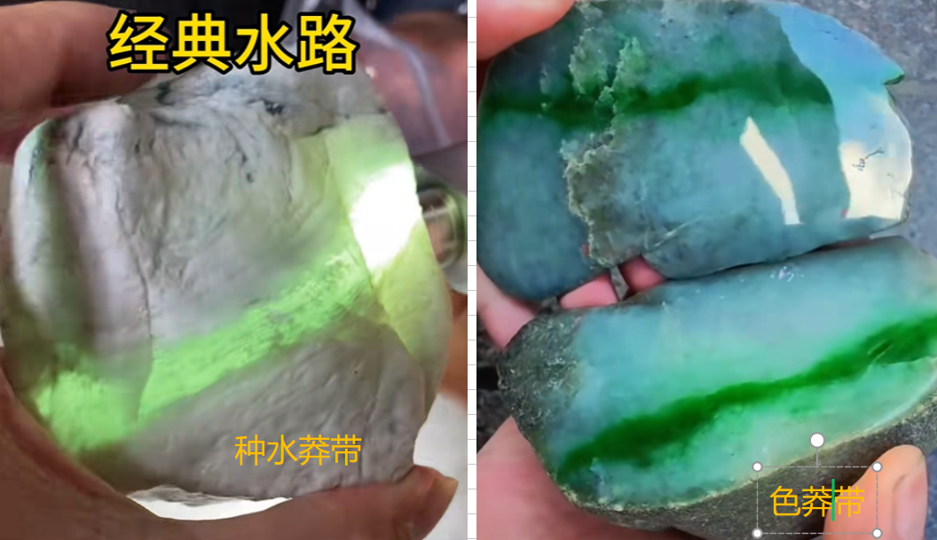 图2 种水莽带，色莽带，都称为水路